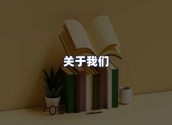 关于我们